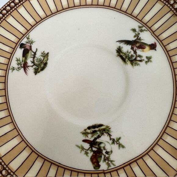 Burton & Burton Birds of Beauty Porcelain Tea Cup & Saucer Bird Center, Geo Rim - Picture 16 of 16